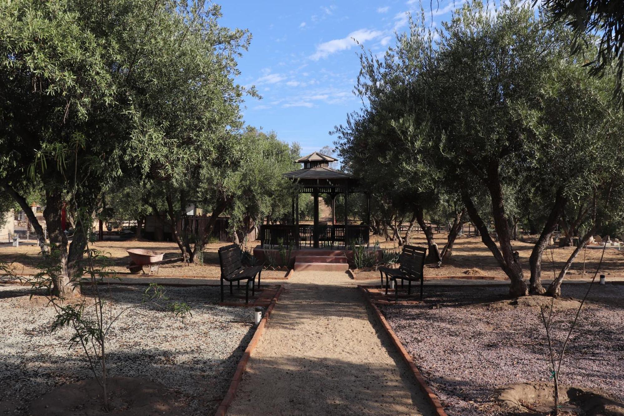 Estancia Los Amigos Valle De Guadalupe Exterior foto